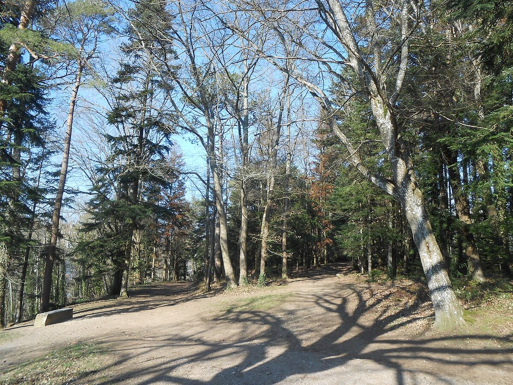 📣 Aidez les enfants de l’école élémentaire des Chaumes à réaliser leur projet !